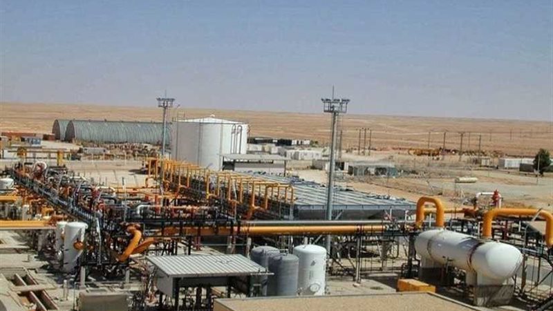 زيادة إنتاج مصر من