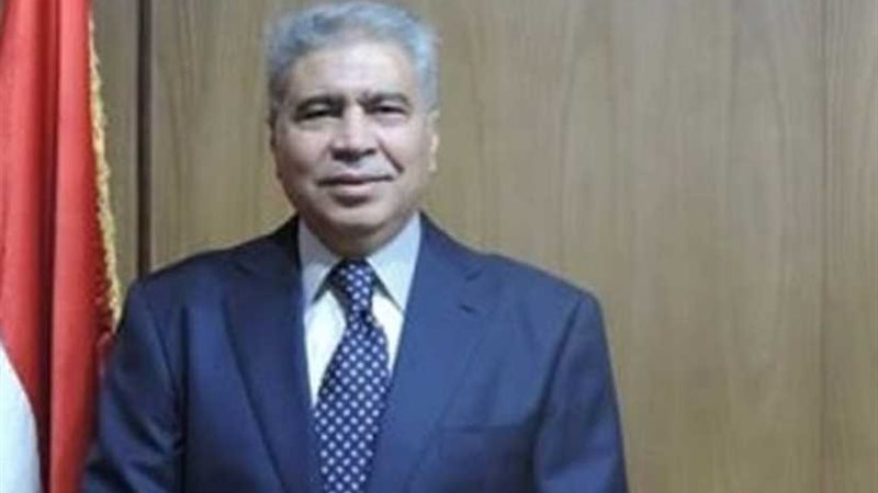 محافظ المنيا يفوض