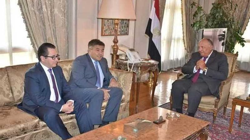 شُكري يستقبل وزير