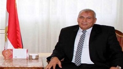 محافظ الوادي يطلق مبادرة لتوحيد الأحياء السكنية بألوان موحدة