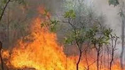 حريق بالأشجارالمحيطة بموقف سيارات