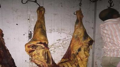 بالصور: ضبط 1300 كيلو لحوم فاسدة بمنزل جزار بملوي بالمنيا قبل بيعها للمواطنين