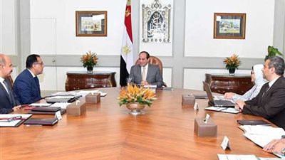 المتحدث الرئاسي: السيسي وجه بالعمل للقضاء على فيروس 