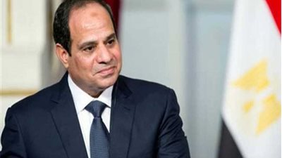 قراران جمهوريان بشأن الشراكة بين الجامعات المصرية والأمريكية