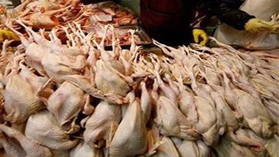 ضبط 2 طن دواجن غير صالحة بمجزر بالرمل