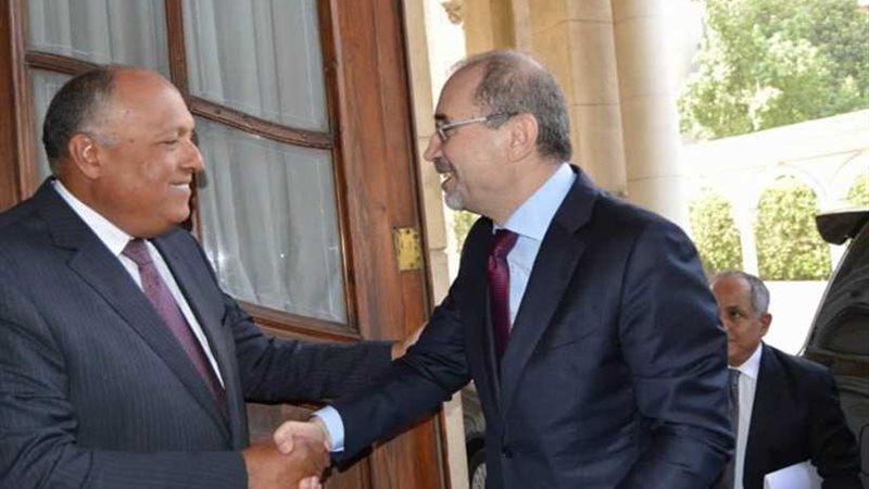 شكري يلتقي وزير خارجية