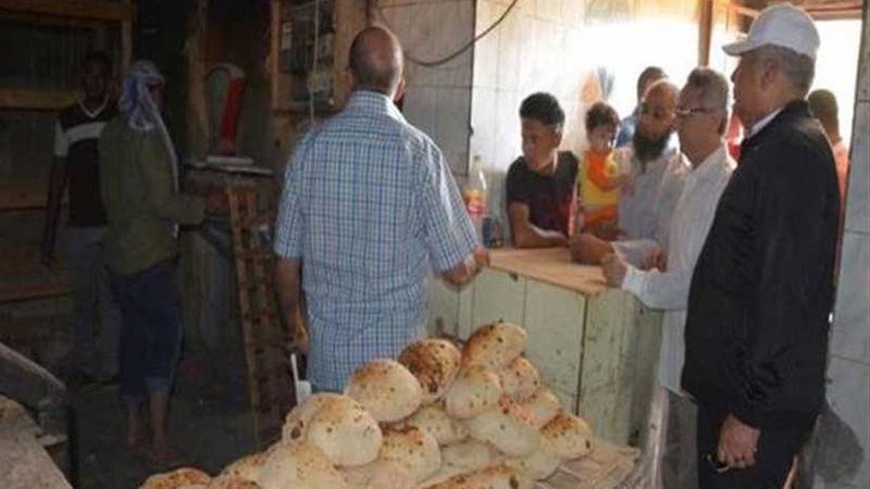 تحرير 22 محضرًا مخالفًا