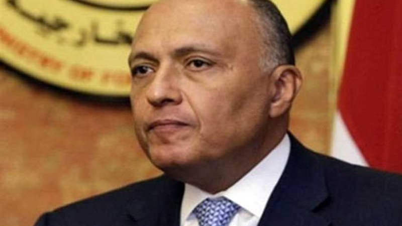 شكري يتوجه إلى أديس