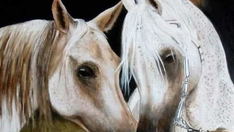 الخيول العربية والفروسية