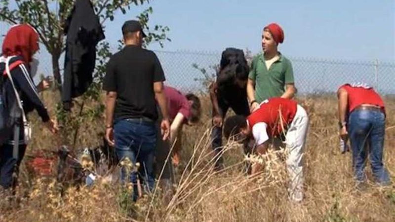 السوريون في تركيا