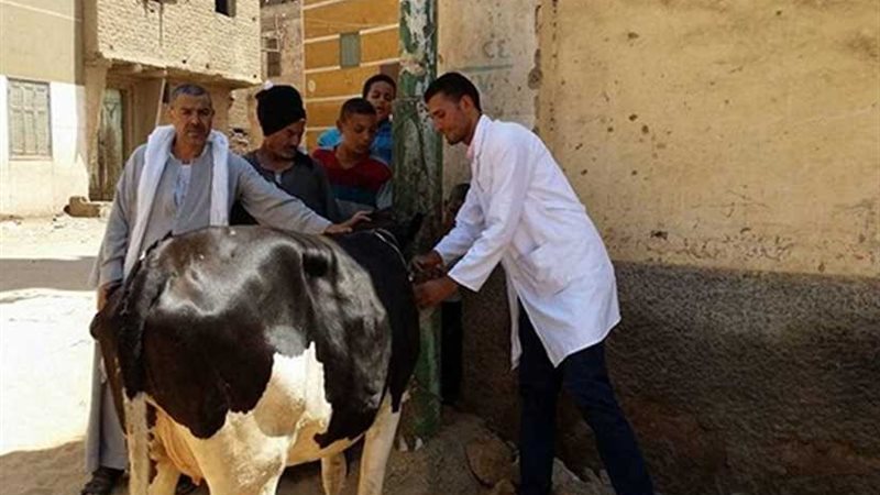 بدء حملة للتحصين