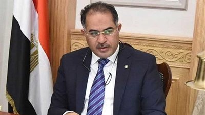 وكيل النواب في طلب إحاطة: معاقبة المسئولين عن 