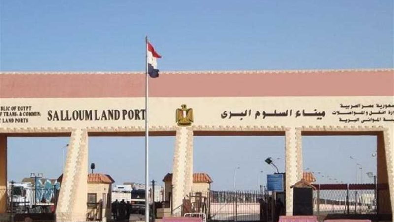 عودة 301 مصري من