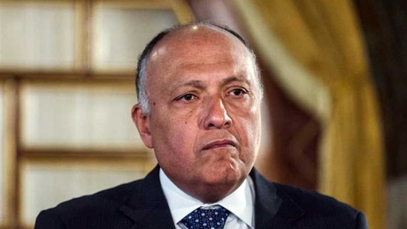 شكري يؤكد حرص مصر