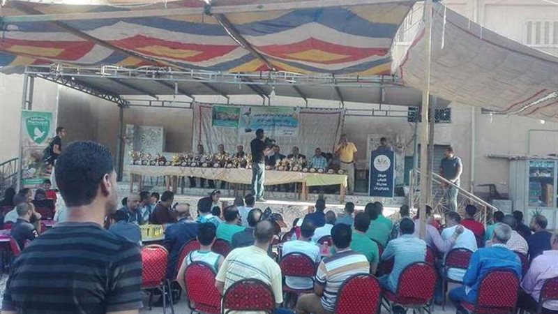 بالصور.. احتفالية