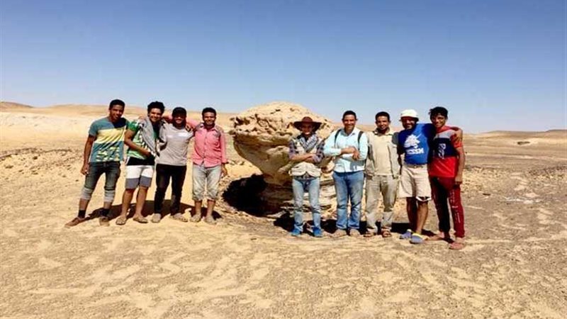 فريق حفريات المنصورة