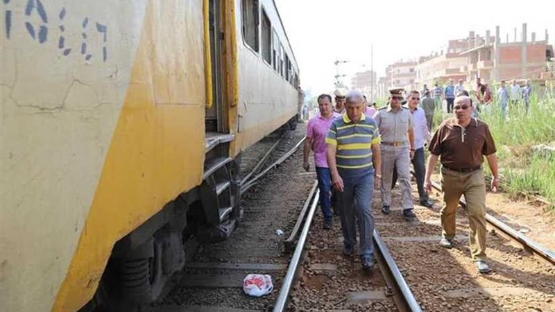 محافظ المنوفية يتفقد