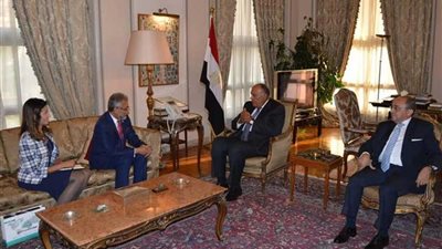 شكري يستقبل أمين عام منظمة مجموعة الدول الثماني النامية