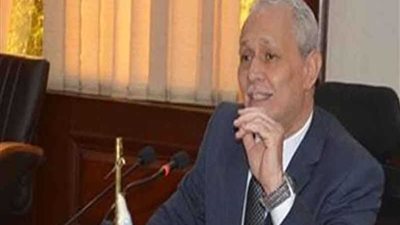 نائب محافظ الأقصر يشهد فعاليات احتفال مرور عام علي انطلاق مشروع 