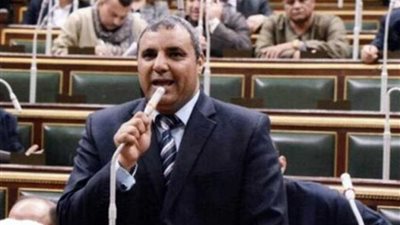 عضو دعم مصر: تعديلات النظام الأساسي للائتلاف هدفها توسيع المشاركة لأحزاب والمحافظات