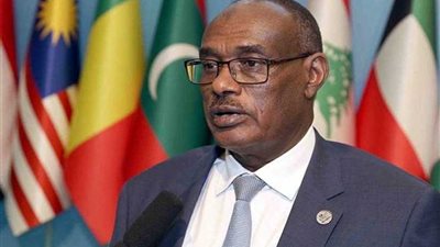 وزير الخارجية السوداني: سلفاكير ومشار اتفقا على معالجة أي خروقات لوقف إطلاق النار