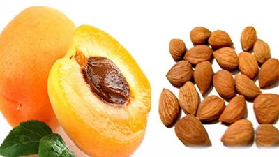 نواة المشمش واللوز يكافحان السرطان