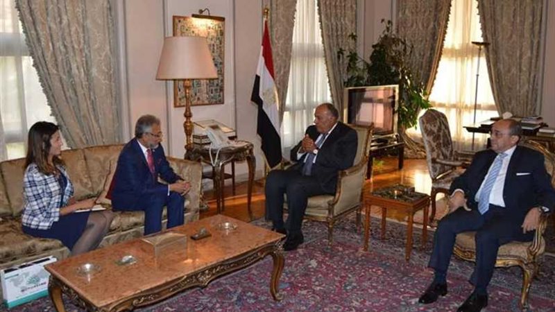 شكري يستقبل أمين