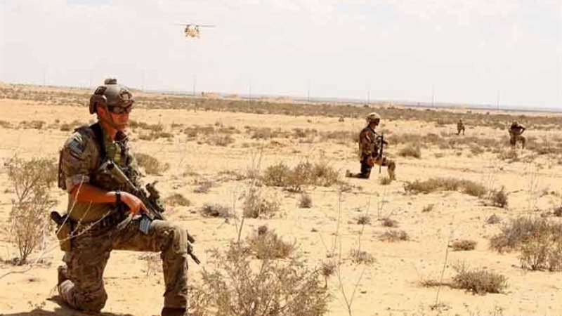 استمرار فعاليات النجم