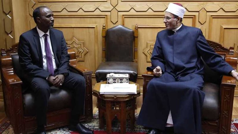 وكيل الأزهر يستقبل