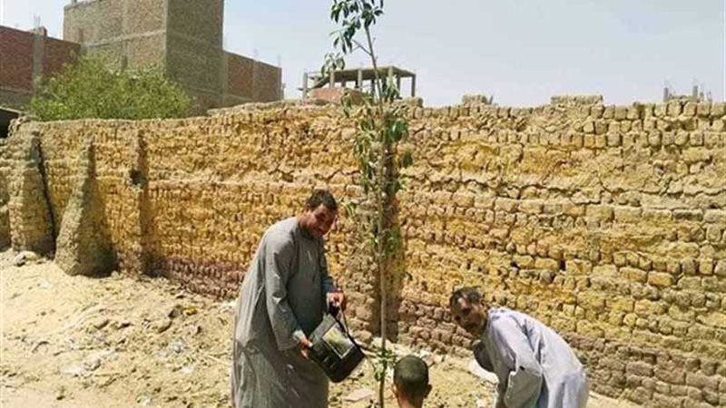 مركز ملوي بالمنيا