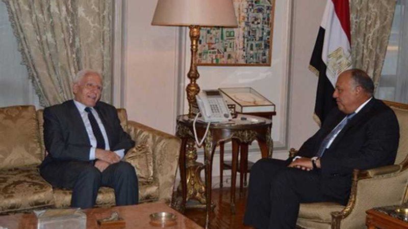 شكري يلتقي عزام الأحمد..