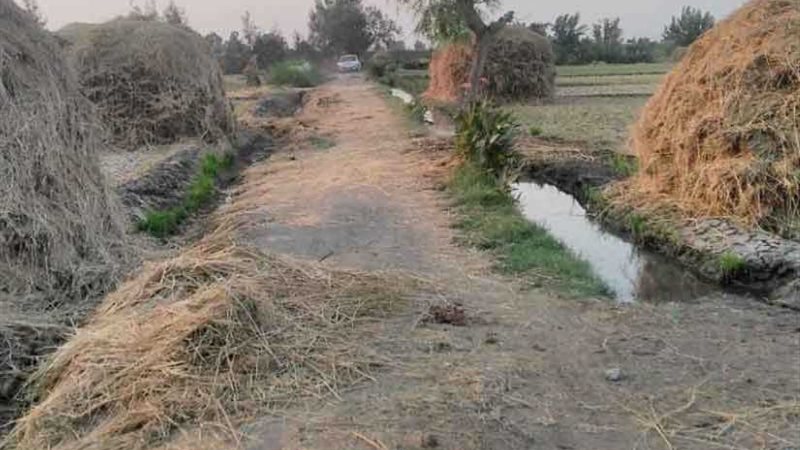 حملات مكبرة لمواجهة