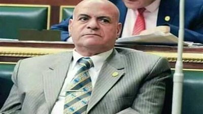 برلماني: الرئيس السيسي يولي أهمية خاصة لملف الصحة