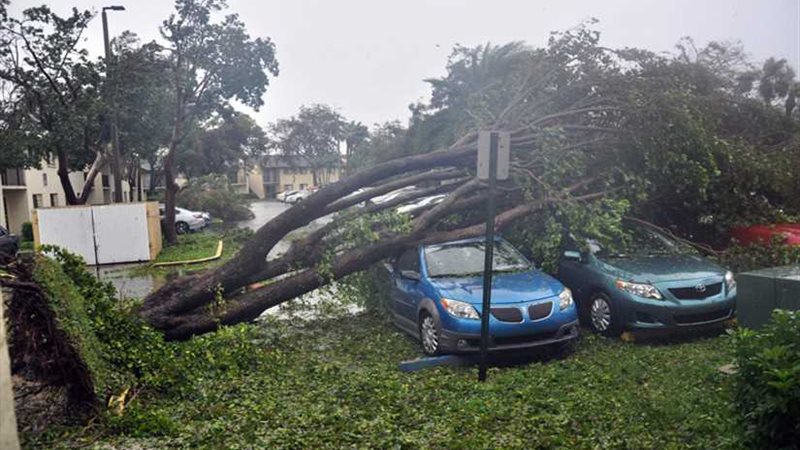 آلي تضرب بريطانيا..