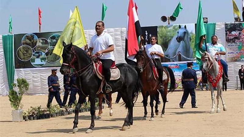 بدء فعاليات المهرجان