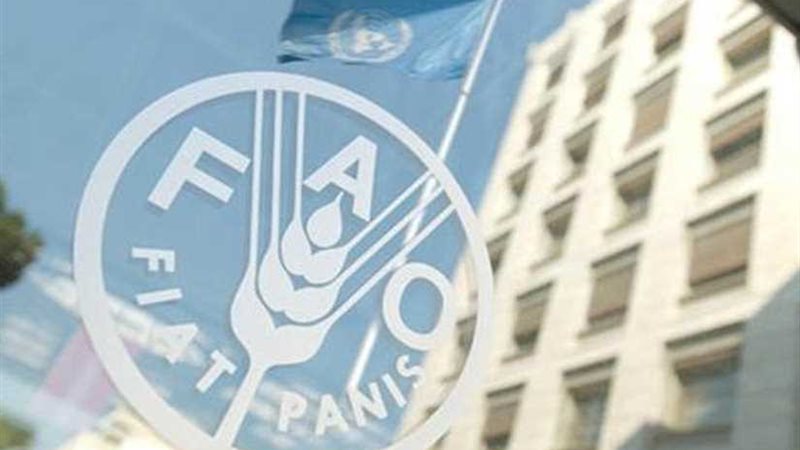 الفاو تدعم المشاريع