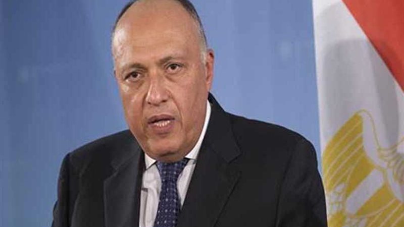 وزير الخارجية يتلقى