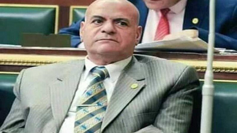 برلماني: الرئيس السيسي