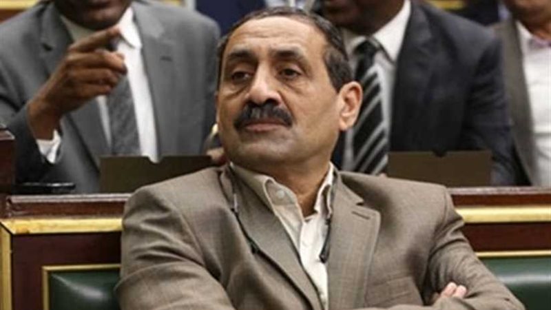 برلماني: جهود وزارة