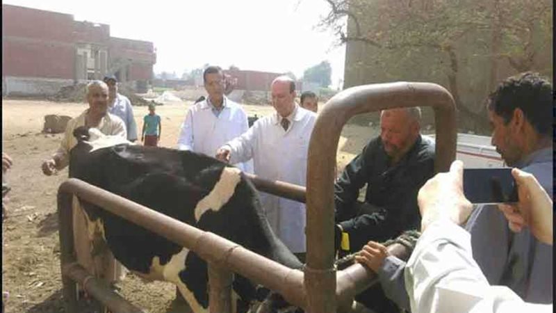 تحصين 41 ألف رأس