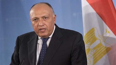 وزير الخارجية: القمة المصرية- الأمريكية نتيجة تطورات إيجابية خلال عامين(فيديو)