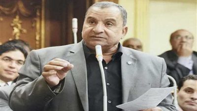 نائب السويس يشكر رئيس الوزراء لعودة موسم الصيد وحماية الثروة السمكية