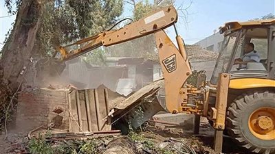 إزالة 13 حالة تعدٍ على أملاك الري بميت غمر