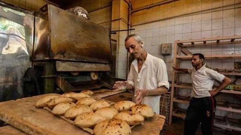 تموين الدقهلية يشن