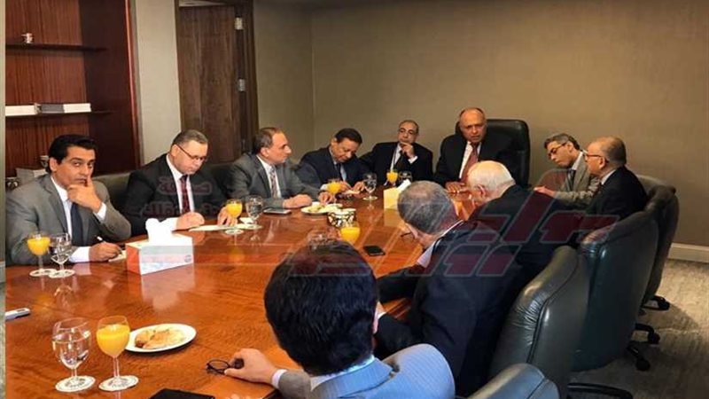 شكري: على الدول المتقدمة