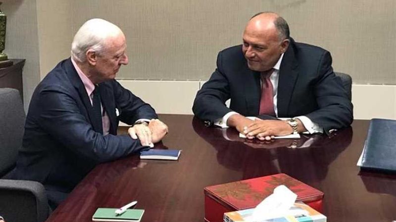 وزير الخارجية يلتقي