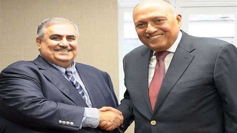 شكري يلتقي نظيره