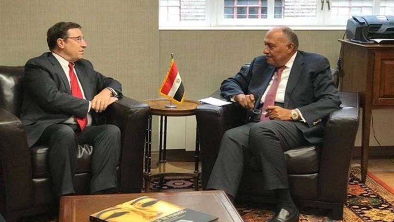 شكري يلتقي المدير