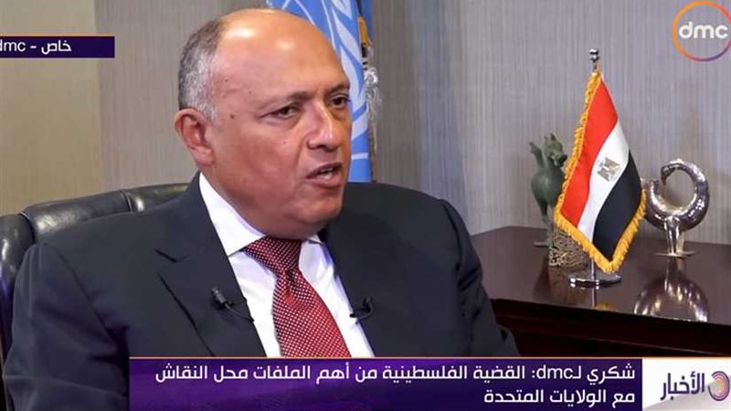 وزير الخارجية: القضية