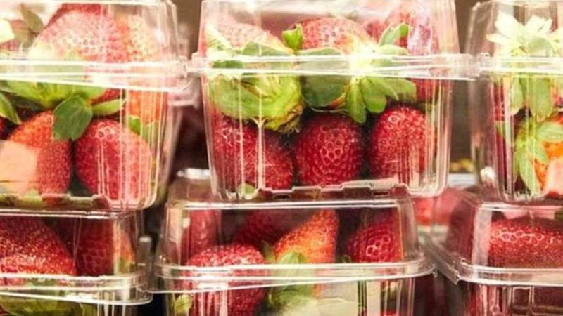 العثور على إبر في